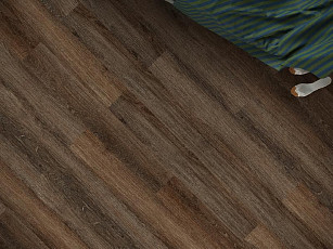 Кварцвиниловые полы Ecoclick Rich клеевой 2.5мм NOX-2077 Дуб Визна фото 1 | FLOORDEALER